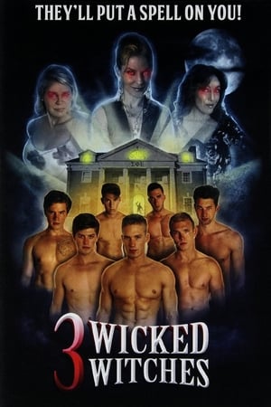 Poster 3 Wicked Witches 2014