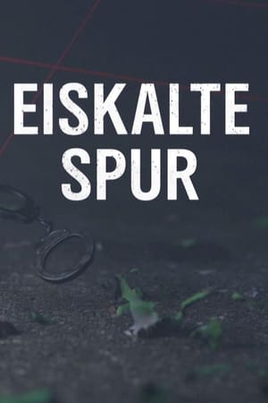 Image Eiskalte Spur