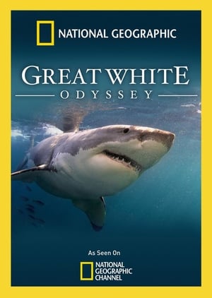 Télécharger Great White Odyssey ou regarder en streaming Torrent magnet 