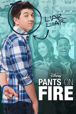Poster Pants on Fire 2014