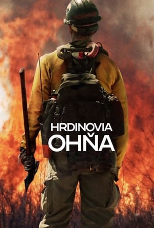 Hrdinovia ohňa 2017