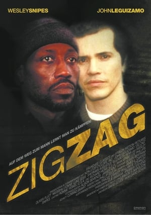 Image Zig Zag