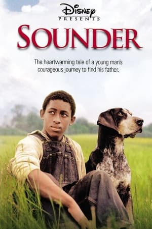 Poster Sounder 2003