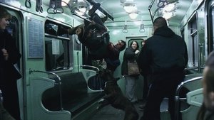 Images posters