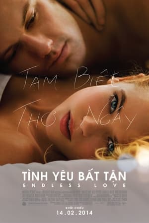 Image Tình Yêu Bất Tận