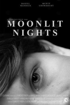 Image Moonlit Nights