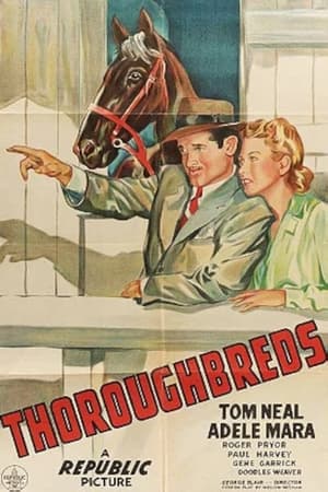 Image Thoroughbreds