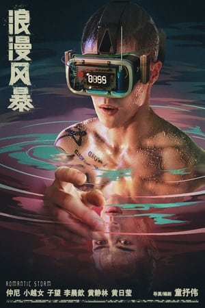 Télécharger 浪漫风暴 ou regarder en streaming Torrent magnet 