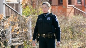 Chicago P.D. Season 2 Episode 12