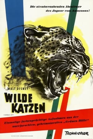 Image Wilde Katzen