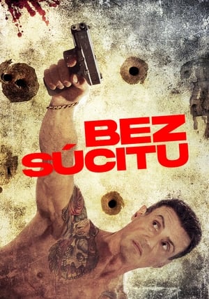 Poster Bez súcitu 2012