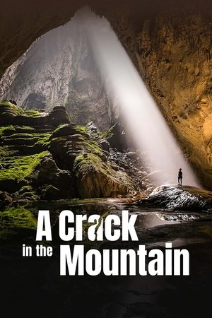 A Crack in the Mountain (2023)
