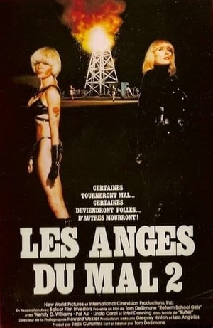 Télécharger Les anges du mal 2 ou regarder en streaming Torrent magnet 