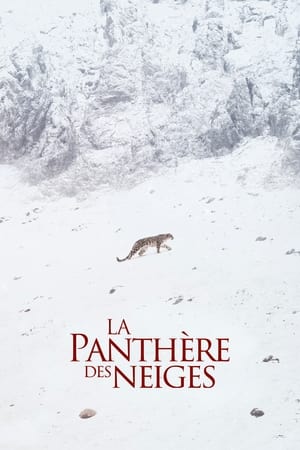 La Panthère des neiges 2021