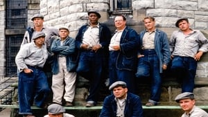 Capture of The Shawshank Redemption (1994) HD Монгол Хэл