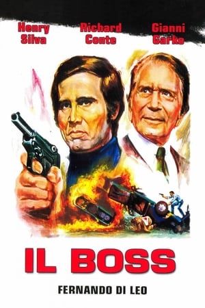 Poster Boss - Smrt na zakázku 1973