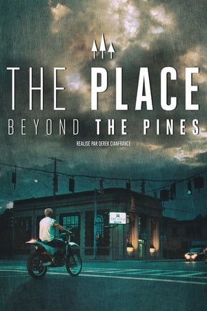 Image The Place Beyond the Pines