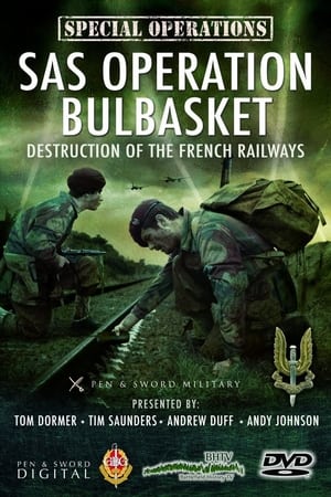 Télécharger SAS Operation Bulbasket: Part 2 - Destruction of the French railways ou regarder en streaming Torrent magnet 