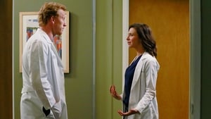 Grey's Anatomy Season 11 :Episode 20  One Flight Down