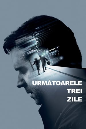 Poster Următoarele trei zile 2010