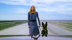 The Beyond (1981)