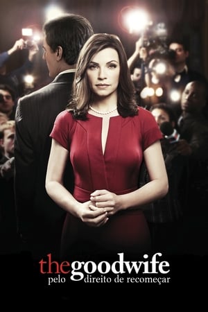 The Good Wife: Pelo Direito de Recomeçar Temporada 7 Episódio 13 2016