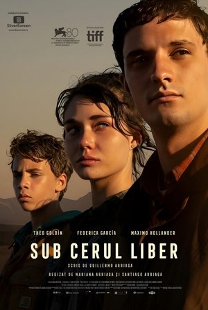 A cielo abierto 2024