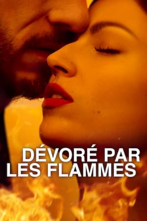 Image Dévoré par les flammes