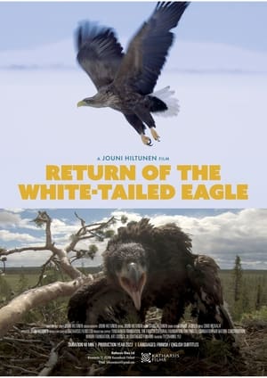 Poster Return of the White-tailed Eagle 2023