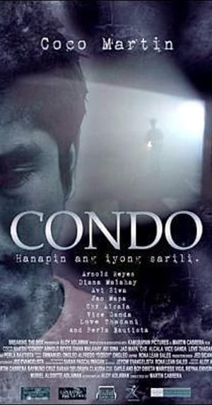 Condo 2008