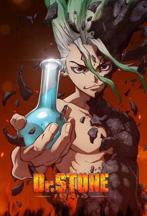 Poster Dr.Stone 2019