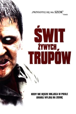 Poster Świt Żywych Trupów 2004