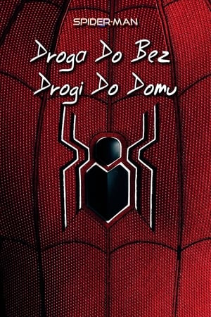 Poster Spider-Man: Droga do Bez drogi do domu 2022