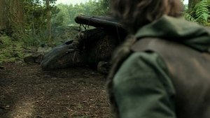 Images posters