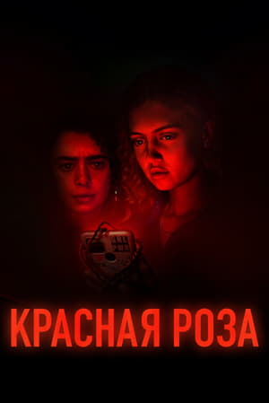 Image Красная роза