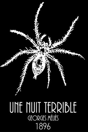 Poster Une nuit terrible 1896
