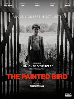 The Painted Bird 2019