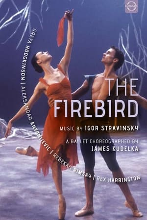 Télécharger Igor Stravinsky: The Firebird ou regarder en streaming Torrent magnet 