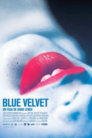 Poster Blue Velvet 1986