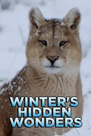 Image Winter's Hidden Wonders
