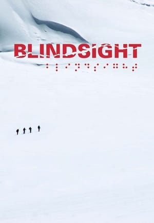 Poster Blindsight - Vertraue Deiner Vision 2006
