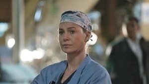 Capture Grey's Anatomy Saison 13 épisode 24 streaming