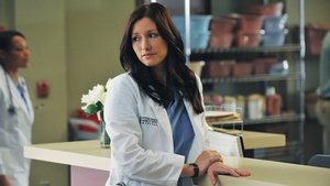 Grey’s Anatomy Season 7 Episode 14