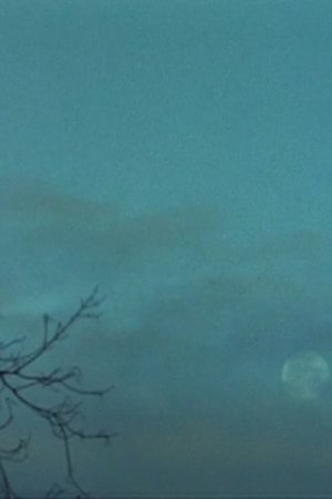 Spirit House (2008)