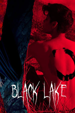 Poster Black Lake 2020