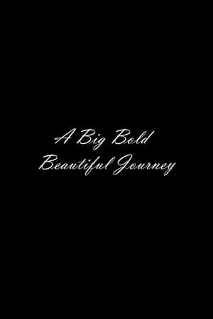 Télécharger A Big Bold Beautiful Journey ou regarder en streaming Torrent magnet 