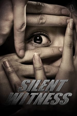 Poster Silent Witness 2013