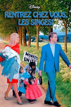 Image Rentrez chez-vous les singes