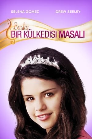 Başka Bir Külkedisi Masalı 2008