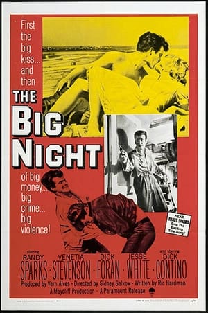 Télécharger The Big Night ou regarder en streaming Torrent magnet 